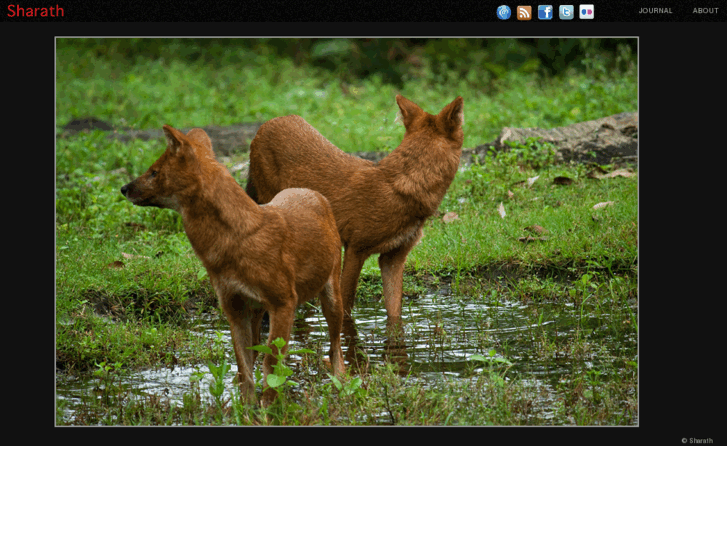 www.isharath.com