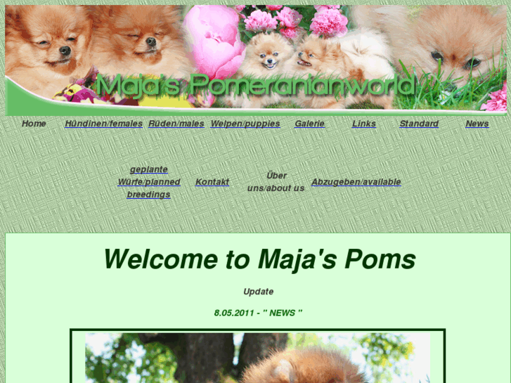 www.majas-poms.de