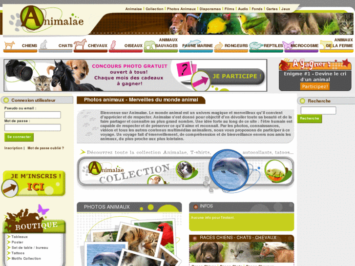 www.animalae.com