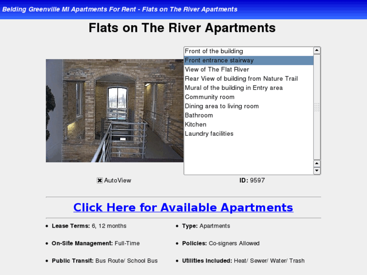 www.beldingmichiganapartments.com