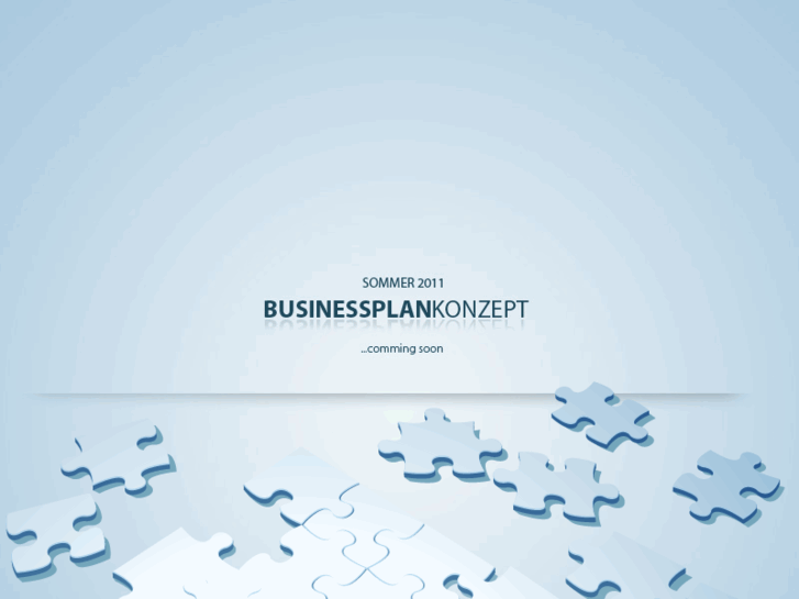 www.businessplan-concept.com