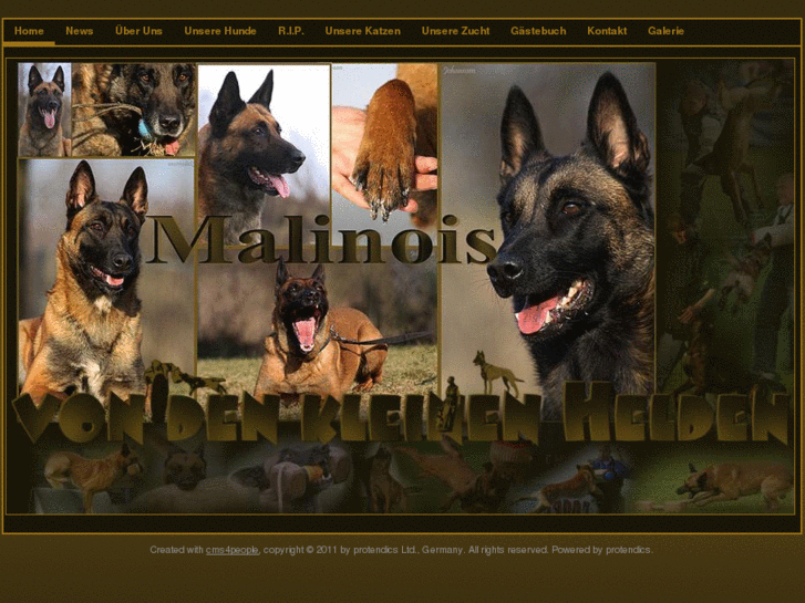 www.malinois-kleine-helden.com