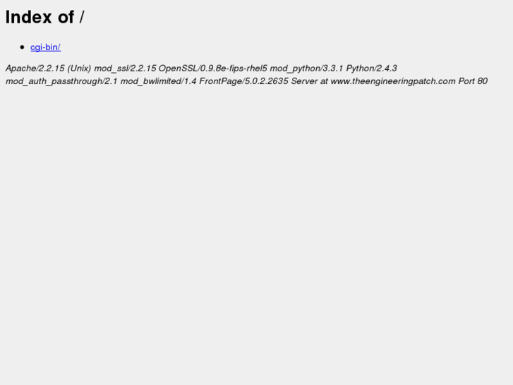 www.theengineeringpatch.com