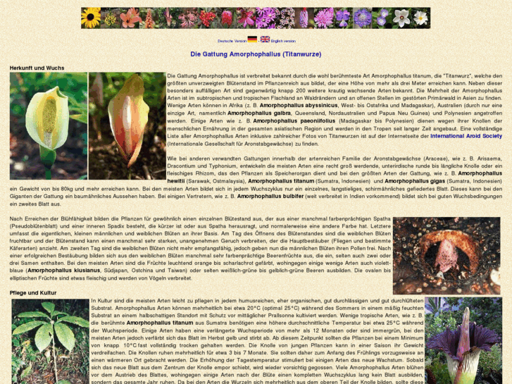 www.amorphophallus.info