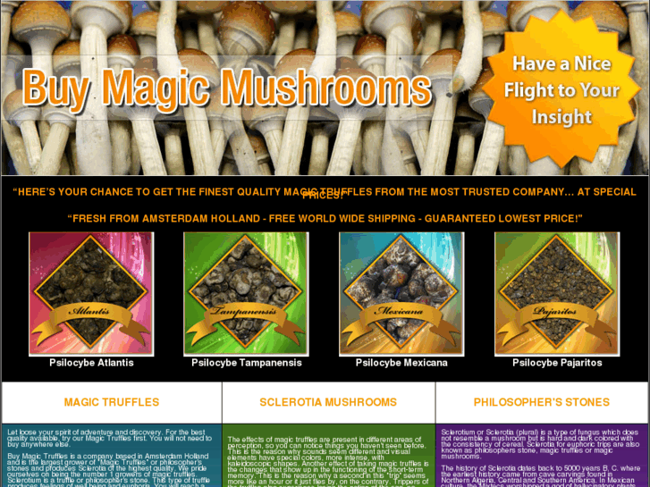 www.buy-magic-mushrooms.com