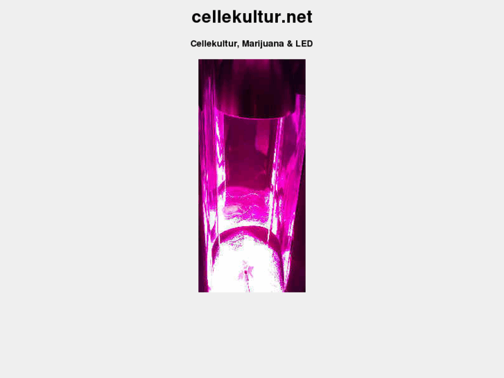 www.cellekultur.net