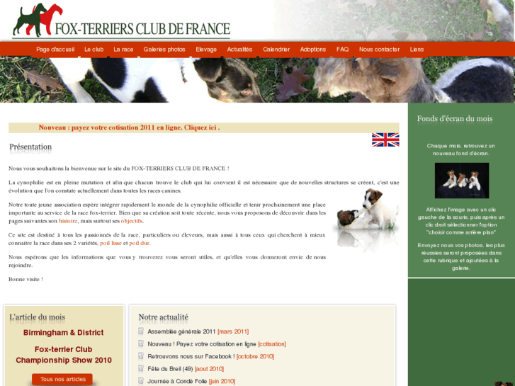 www.fox-terriers.org