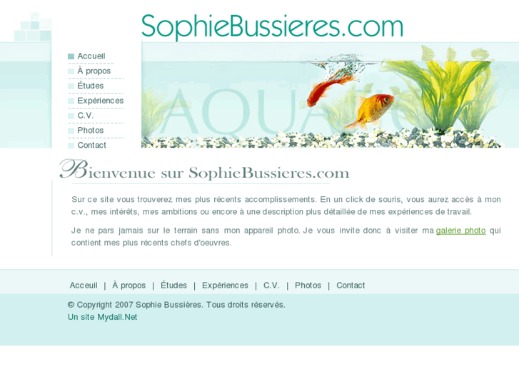 www.sophiebussieres.com