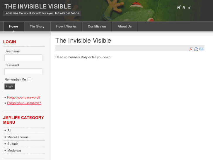 www.theinvisiblevisible.org