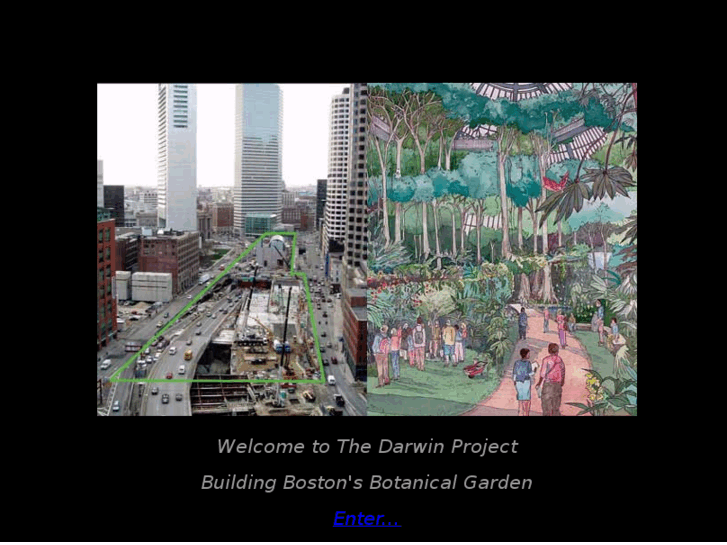 www.darwinboston.org