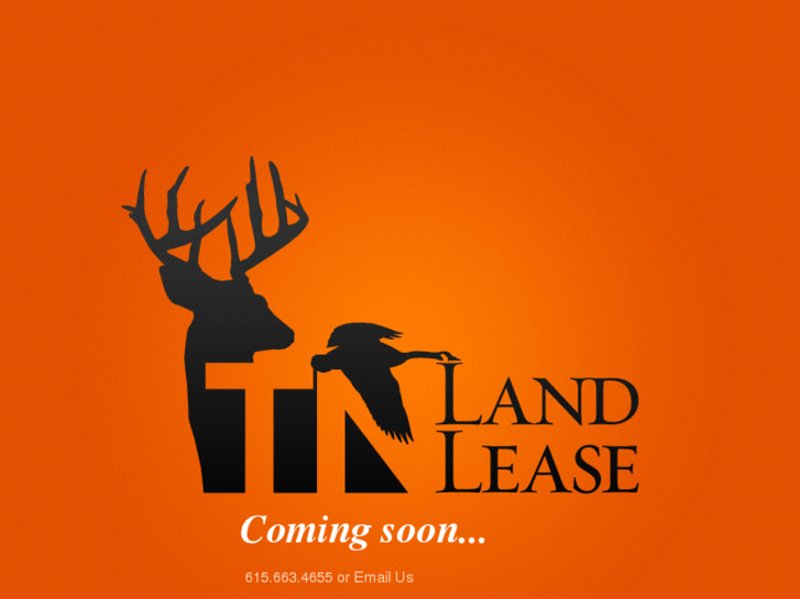 www.tennesseehunts.com