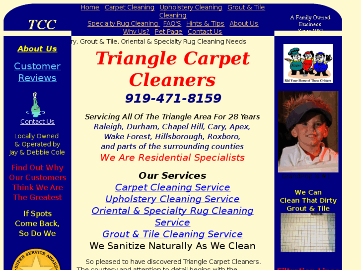 www.trianglecarpetcleaners.biz