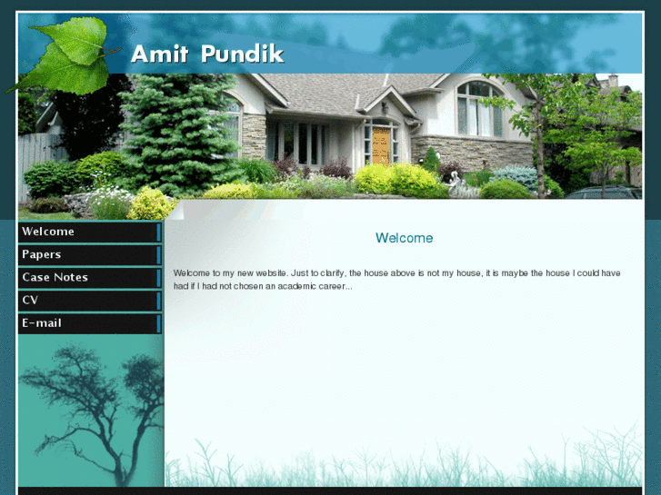 www.amitpundik.com