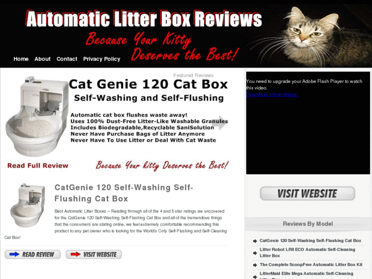 www.automaticlitterboxesreviews.com
