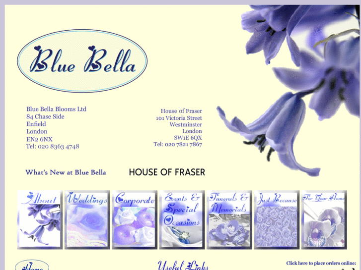 www.bluebellablooms.com