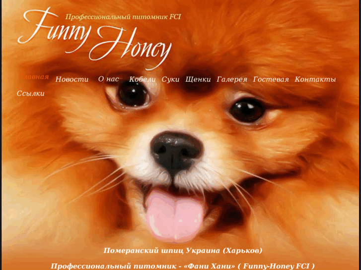 www.honey-funny.com