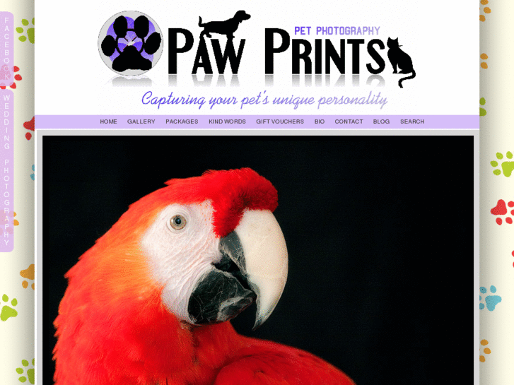 www.pawprintsphotography.co.uk