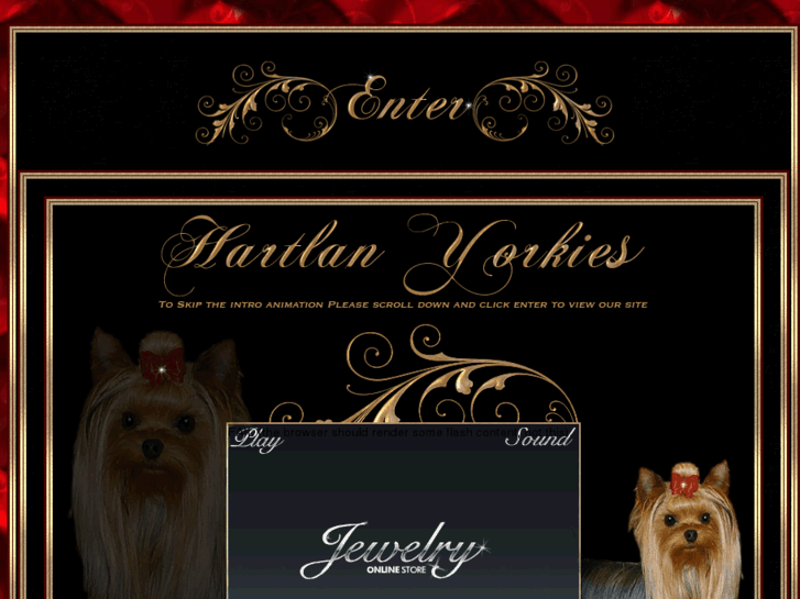 www.hartlanyorkies.com