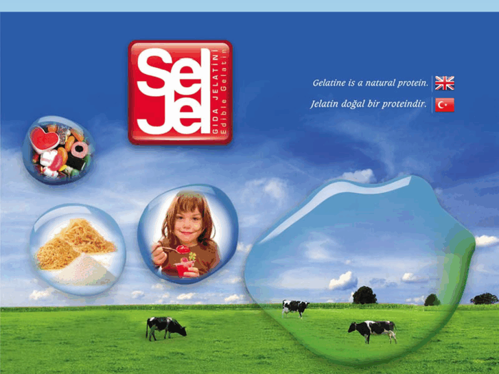 www.seljel.com