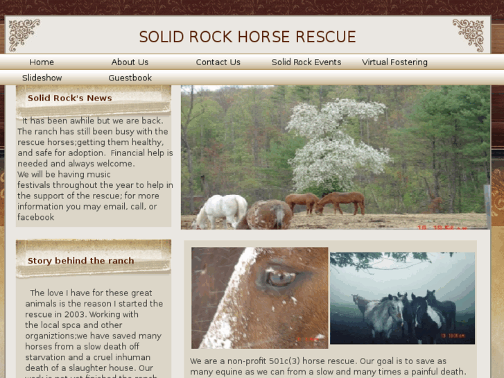 www.solidrockhorserescue.com