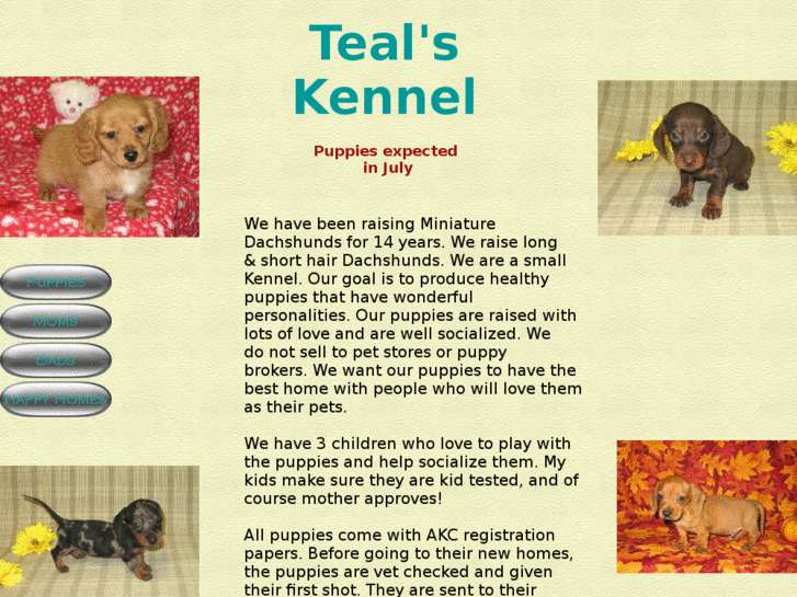 www.tealskennel.com