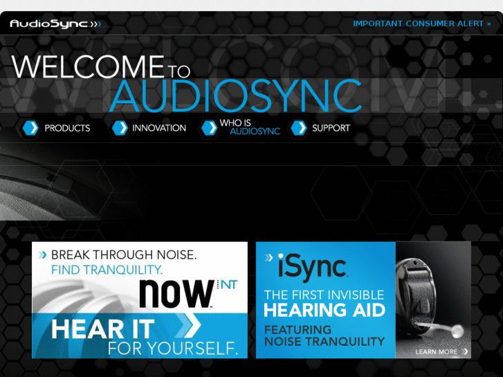 www.audiosyncpro.com