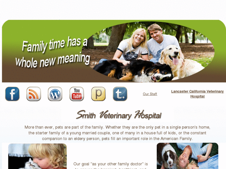 www.avveterinary.com