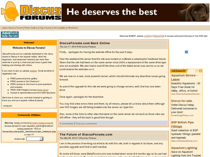 www.bettaforums.com