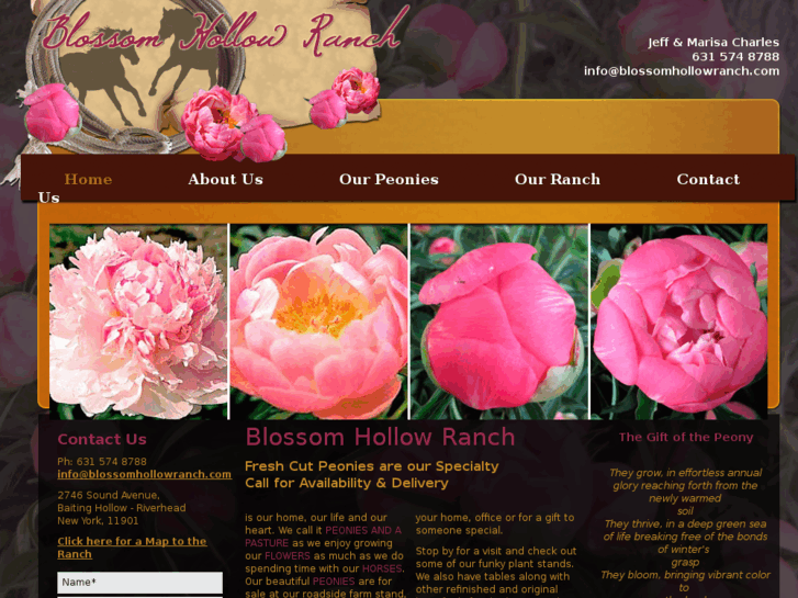 www.blossomhollowranch.com