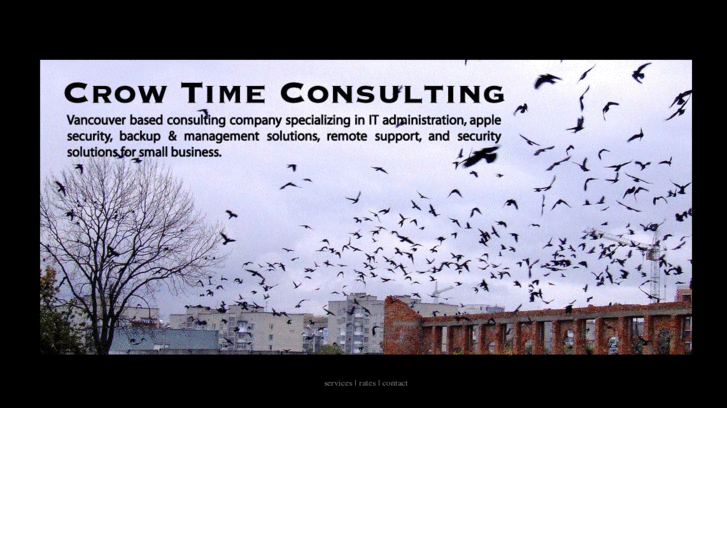 www.crowtimeconsulting.com