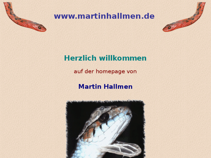 www.martinhallmen.de