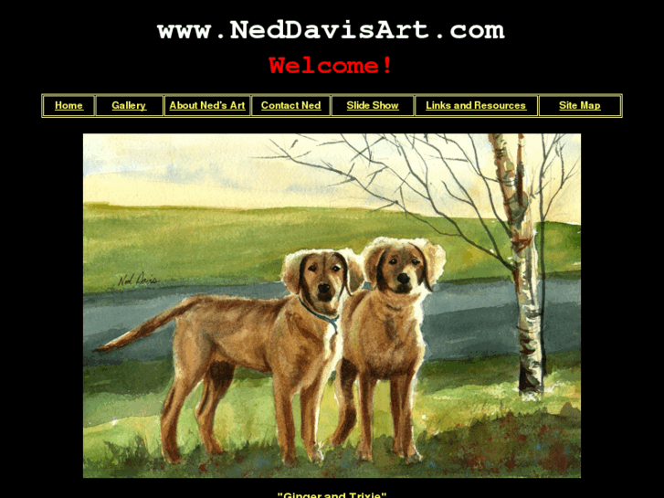 www.neddavisart.com