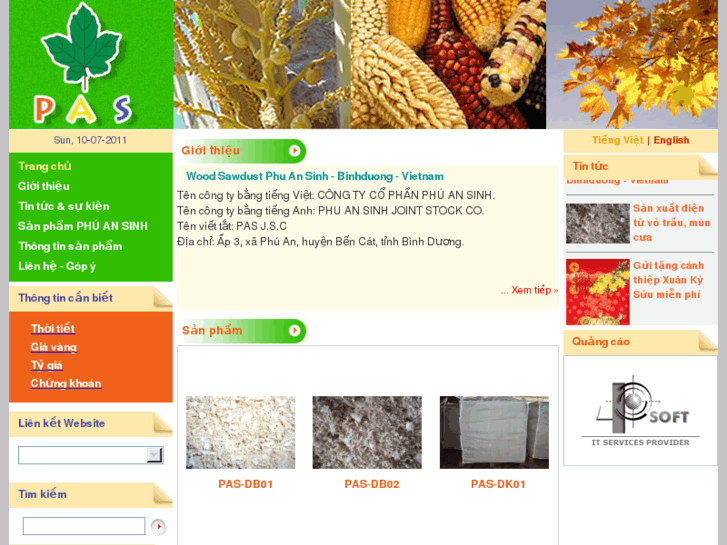 www.sawdust-phuansinh.com