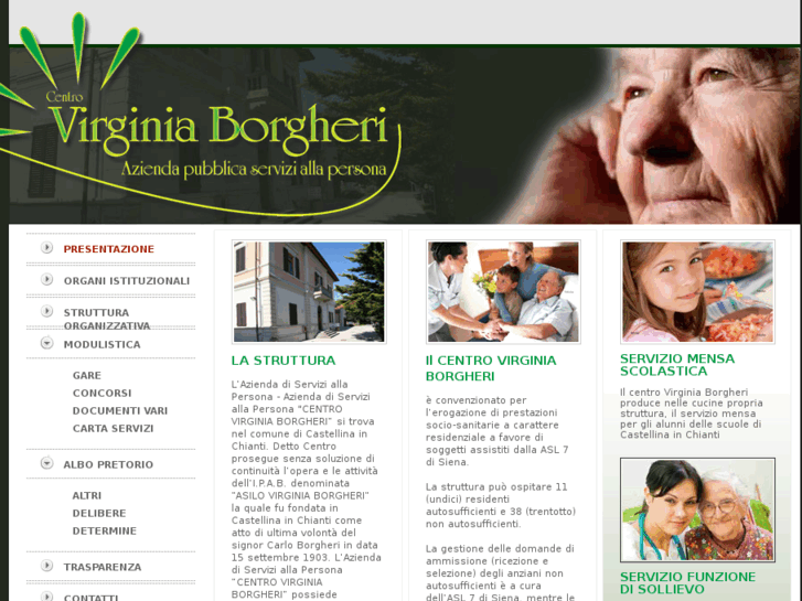 www.virginiaborgheri.it