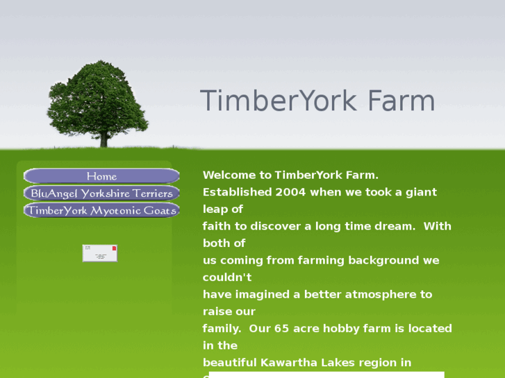 www.timberyork.com