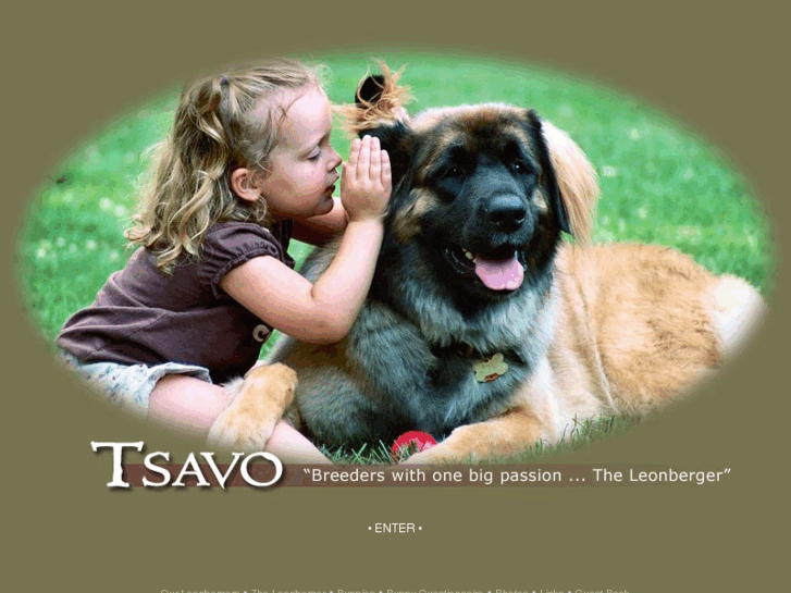 www.tsavoleonbergers.com