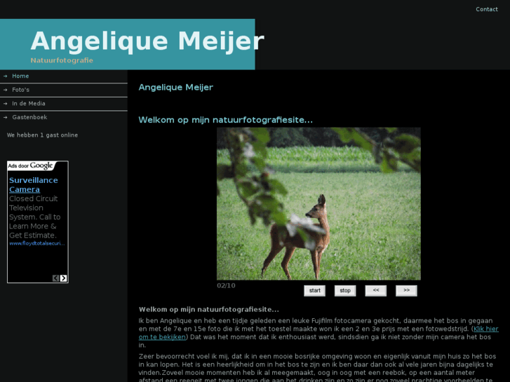 www.angeliquemeijer.com