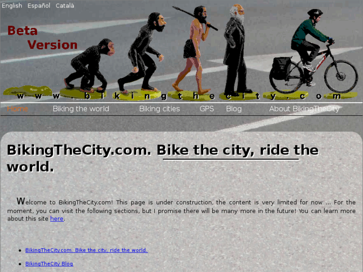 www.bikingthecity.com