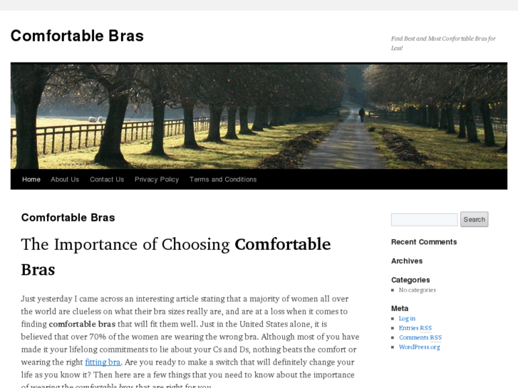 www.comfortablebras.net