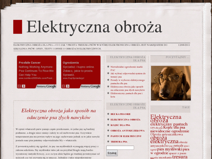 www.elektrycznaobroza.com