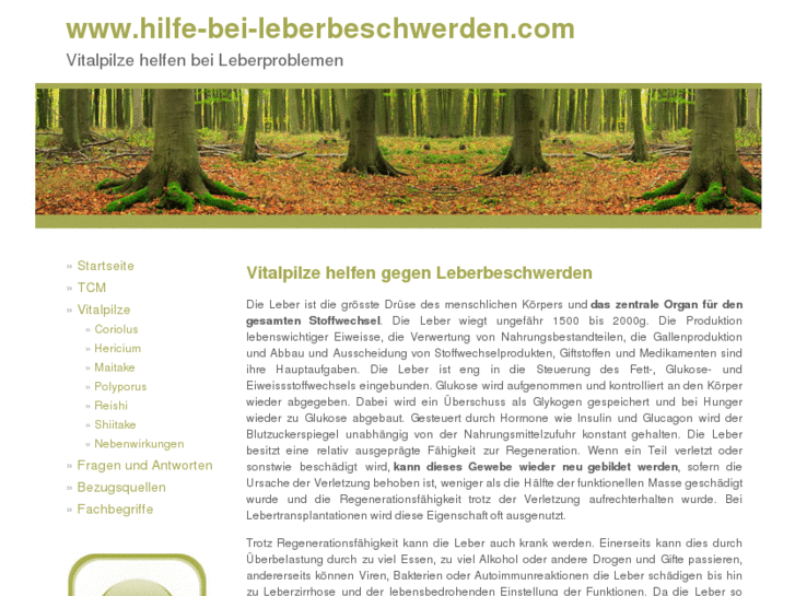 www.hilfe-bei-leberbeschwerden.com