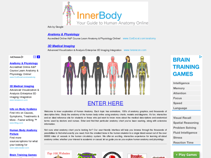 www.innerbody.com