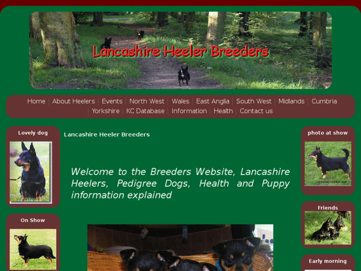 www.lancashireheelerbreeders.co.uk