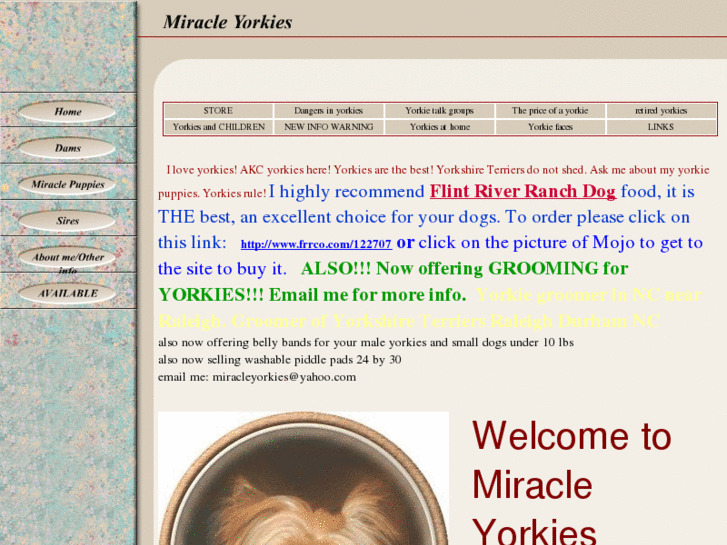 www.miracleyorkies.com