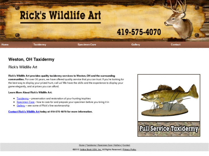 www.rickswildlifeart.com