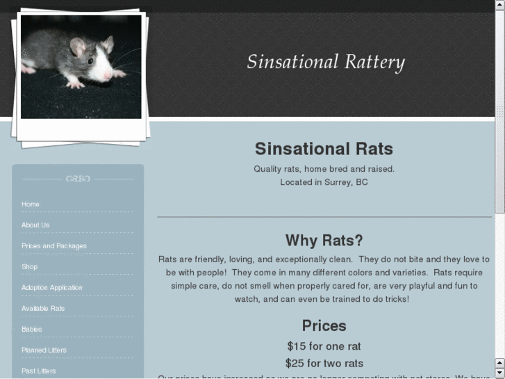 www.sinsationalrats.com