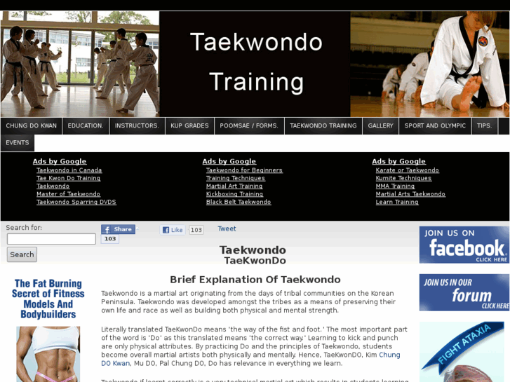 www.taekwondo-training.com