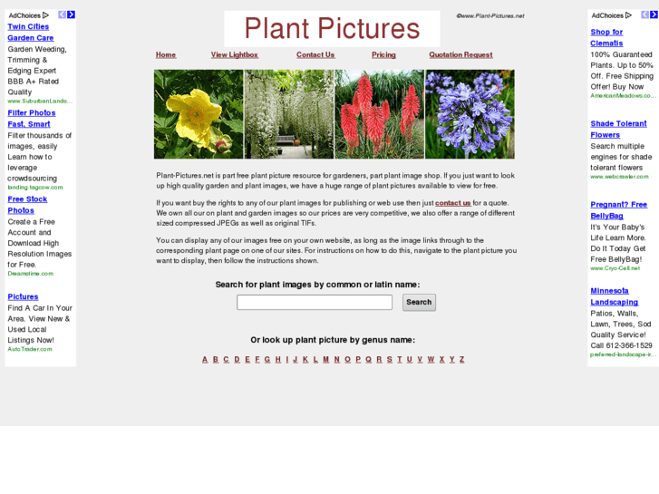 www.plant-pictures.net
