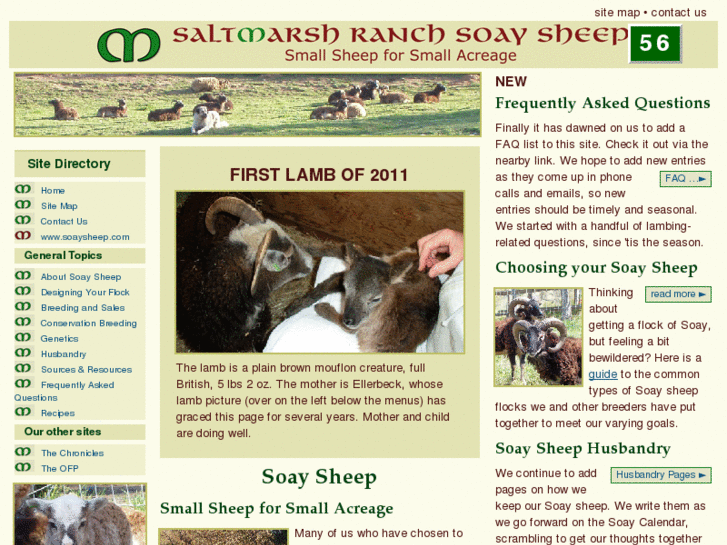 www.saltmarshranch.com