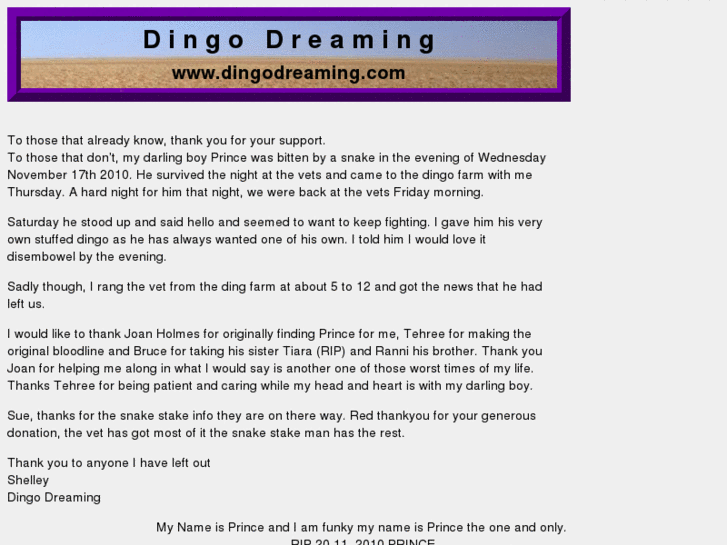 www.thedingodreaming.com